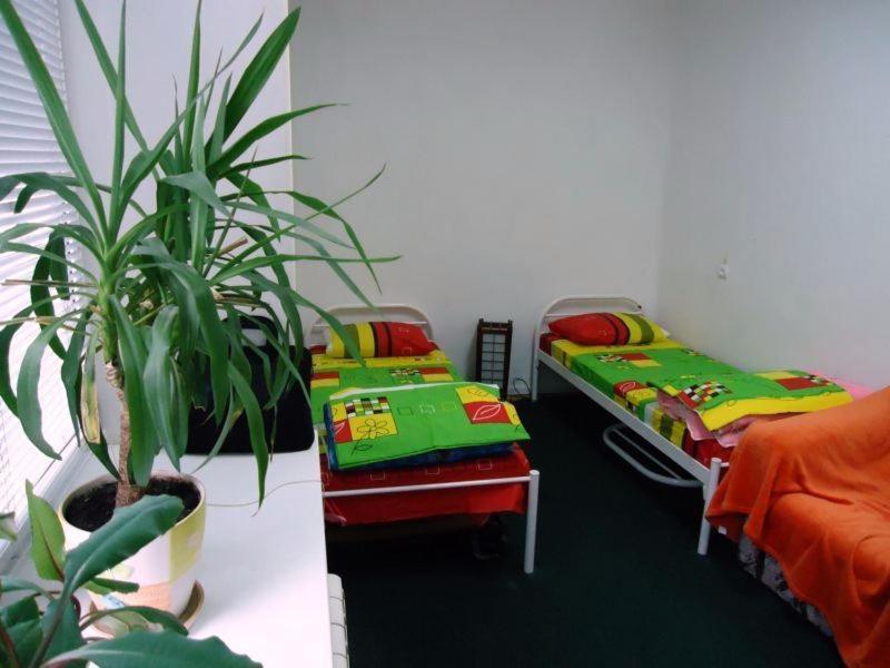 Hostel Kreshatik Kiev Habitación foto